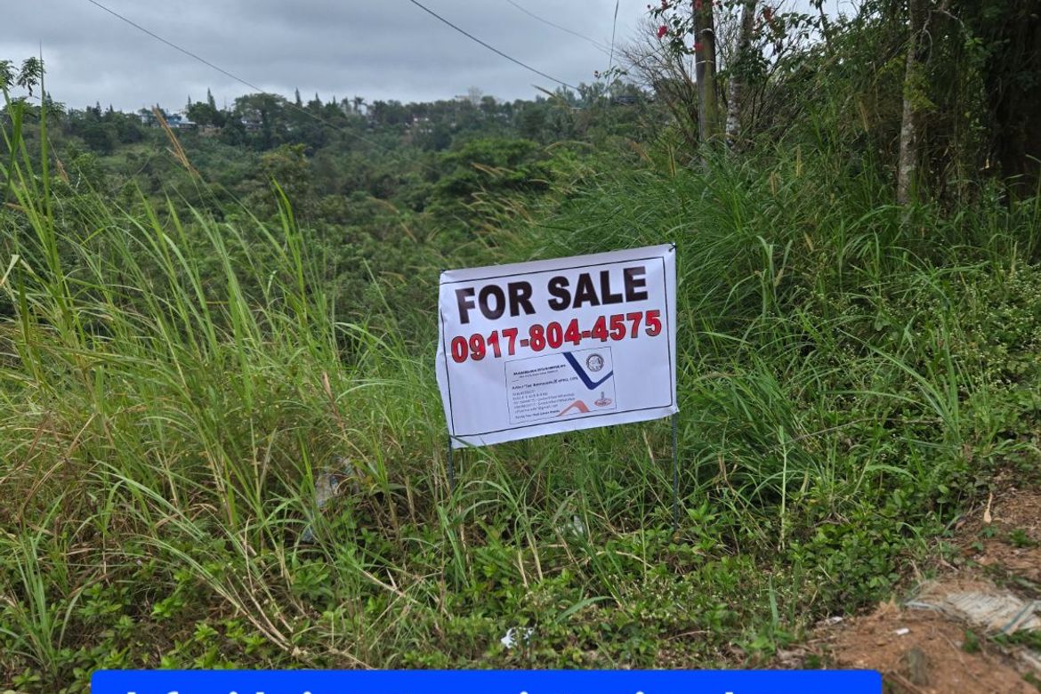 Land for Sale in Sampaloc, Tanay, Rizal – photo 3