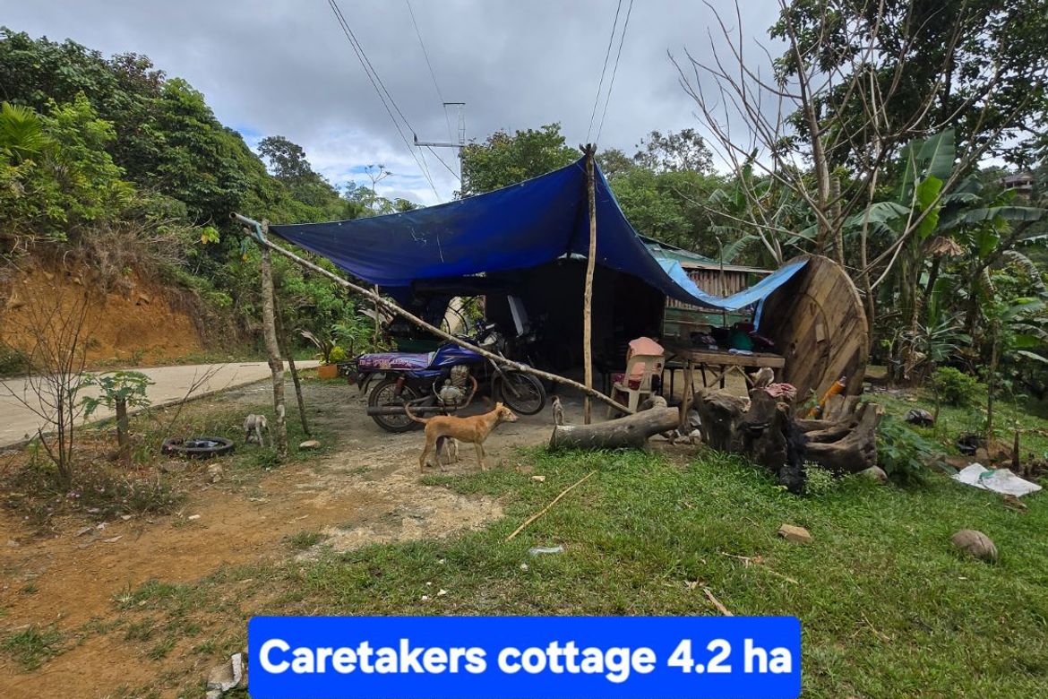 Land for Sale in Sampaloc, Tanay, Rizal – photo 4
