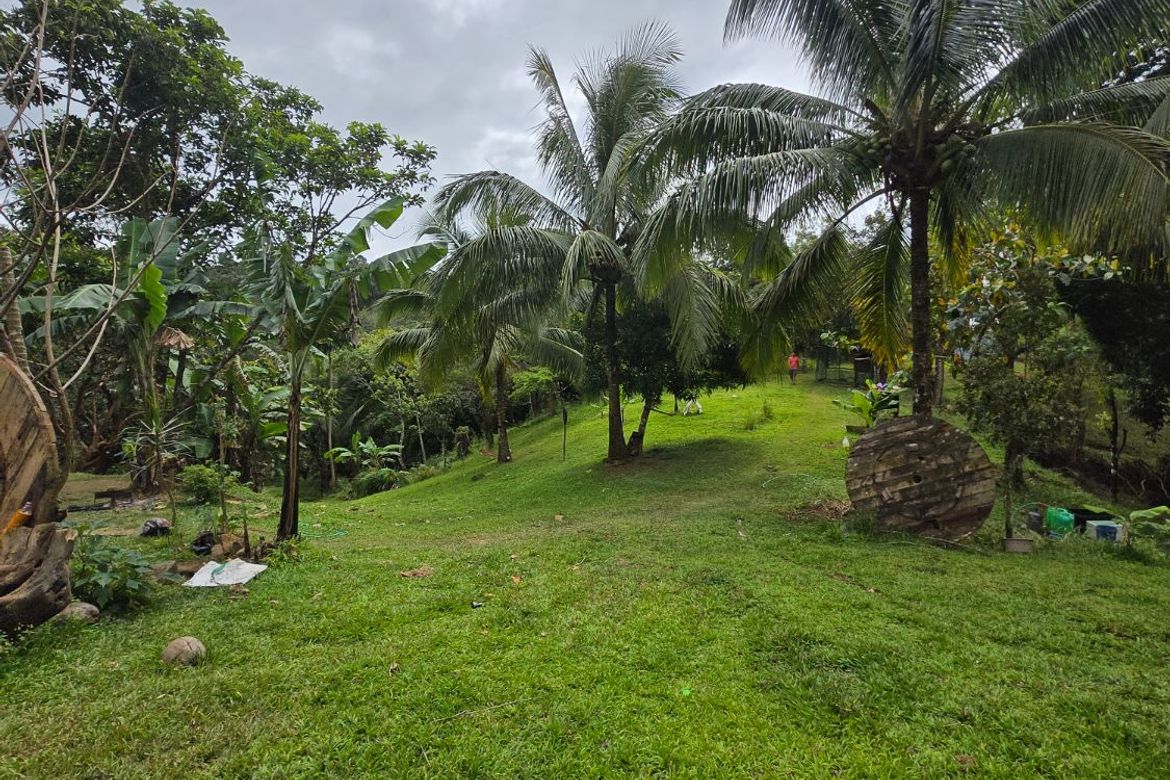 Land for Sale in Sampaloc, Tanay, Rizal – photo 5