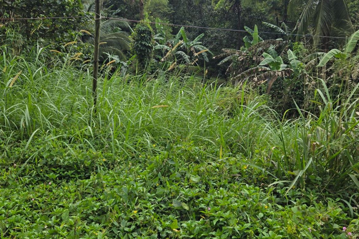 Land for Sale in Sampaloc, Tanay, Rizal – photo 7