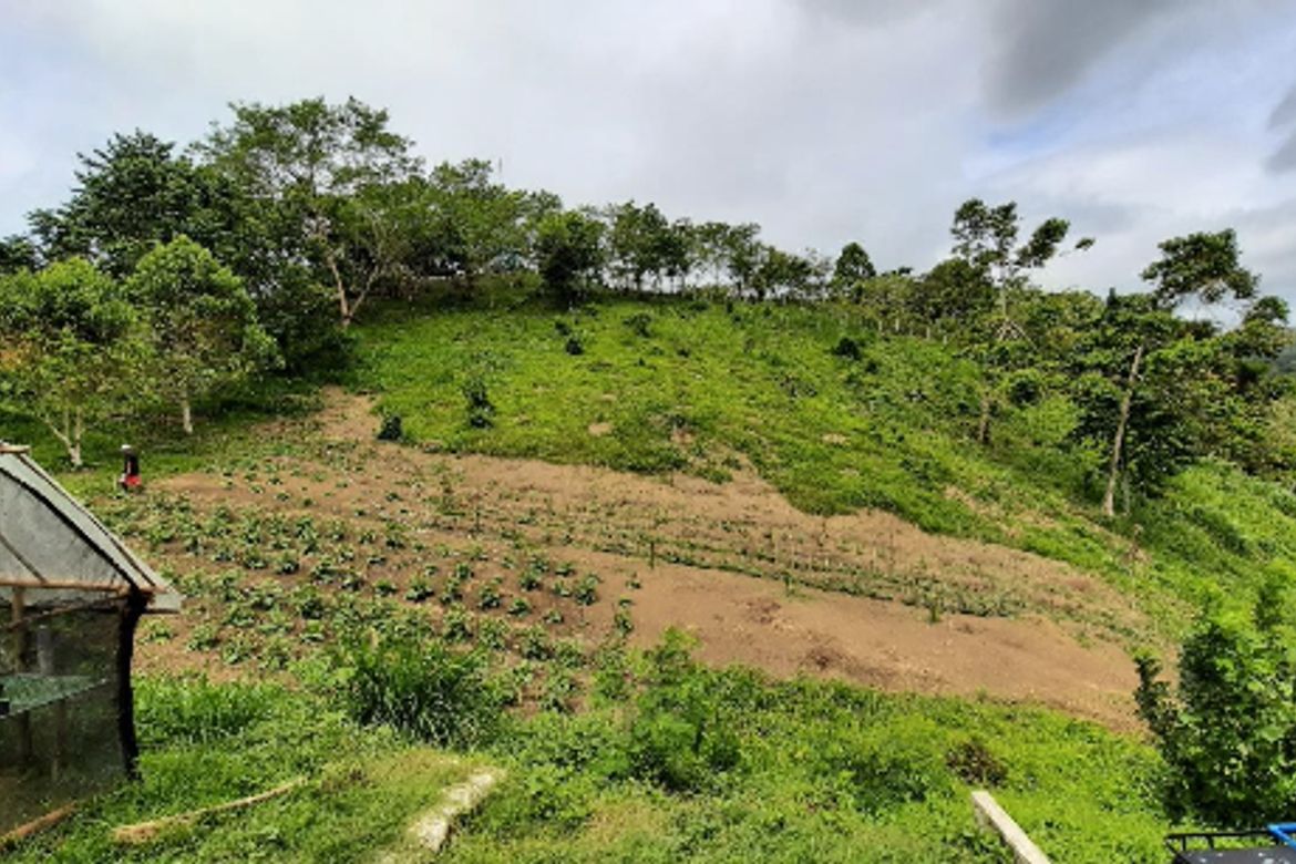 Land for Sale in Sampaloc, Tanay, Rizal – photo 7