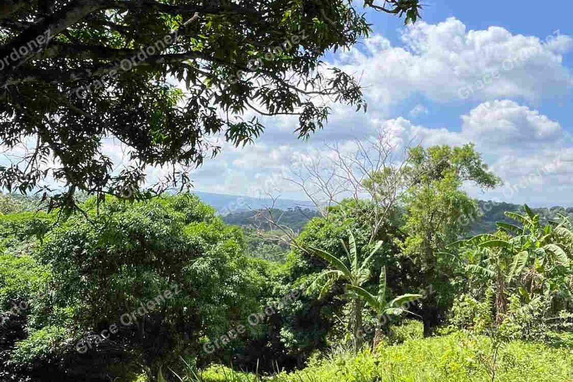 Land for Sale in Sampaloc, Tanay, Rizal