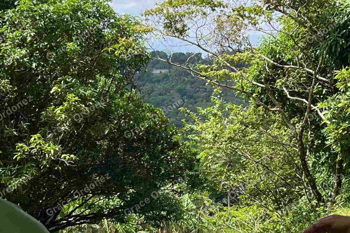 Land for Sale in Sampaloc, Tanay, Rizal – photo 2