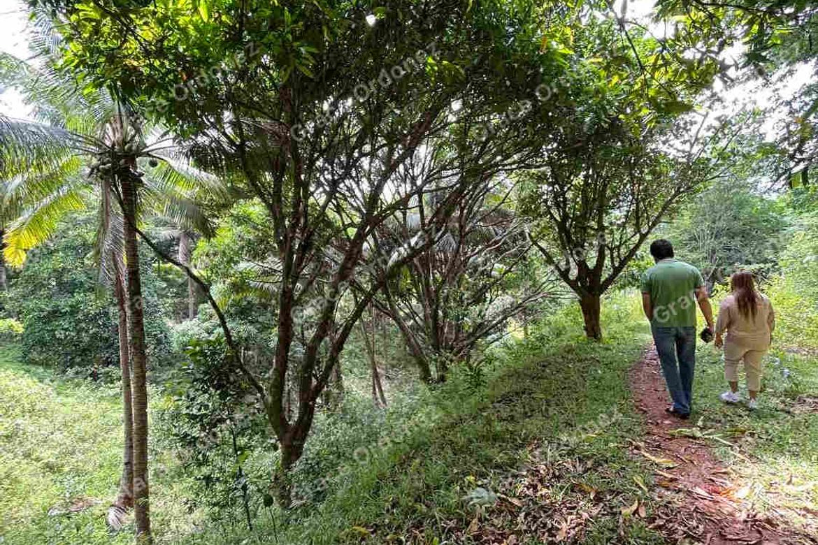 Land for Sale in Sampaloc, Tanay, Rizal – photo 5