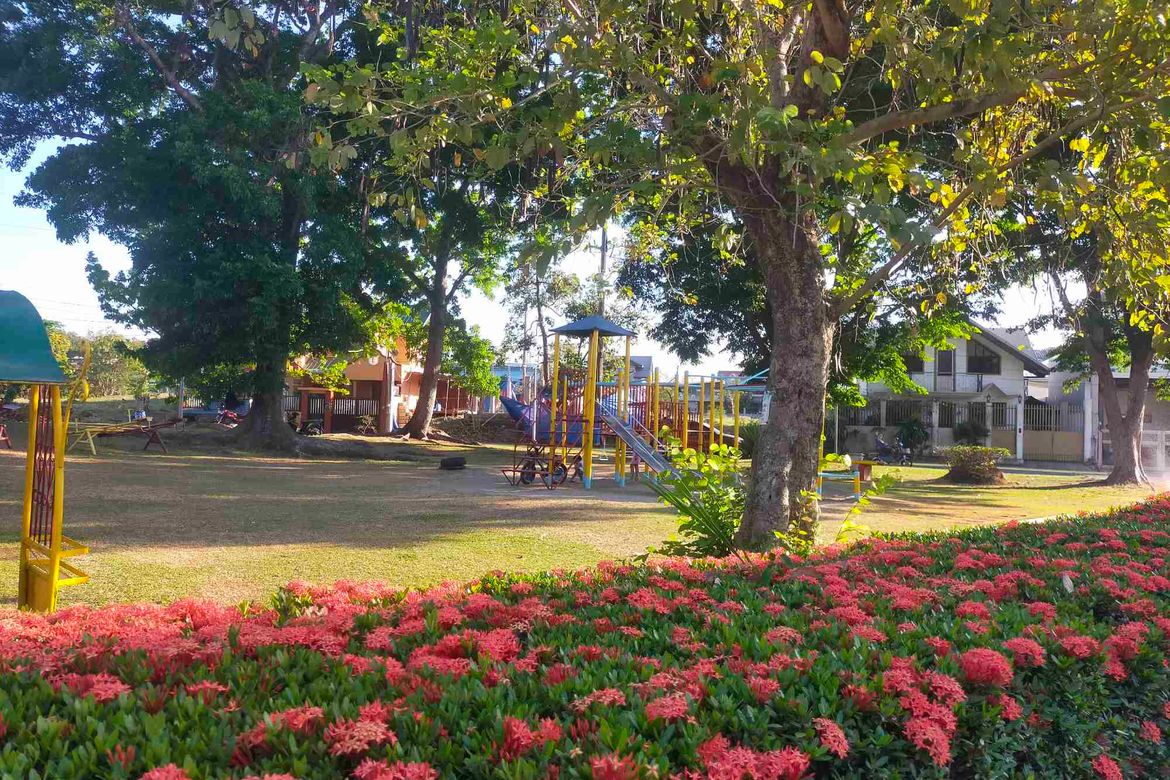 Land for Sale in San Agustin I, Dasmariñas, Cavite – photo 6