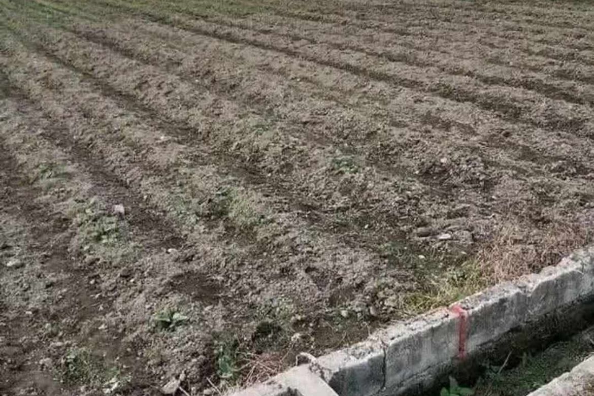 Land for Sale in San Agustin, Magalang, Pampanga – photo 4