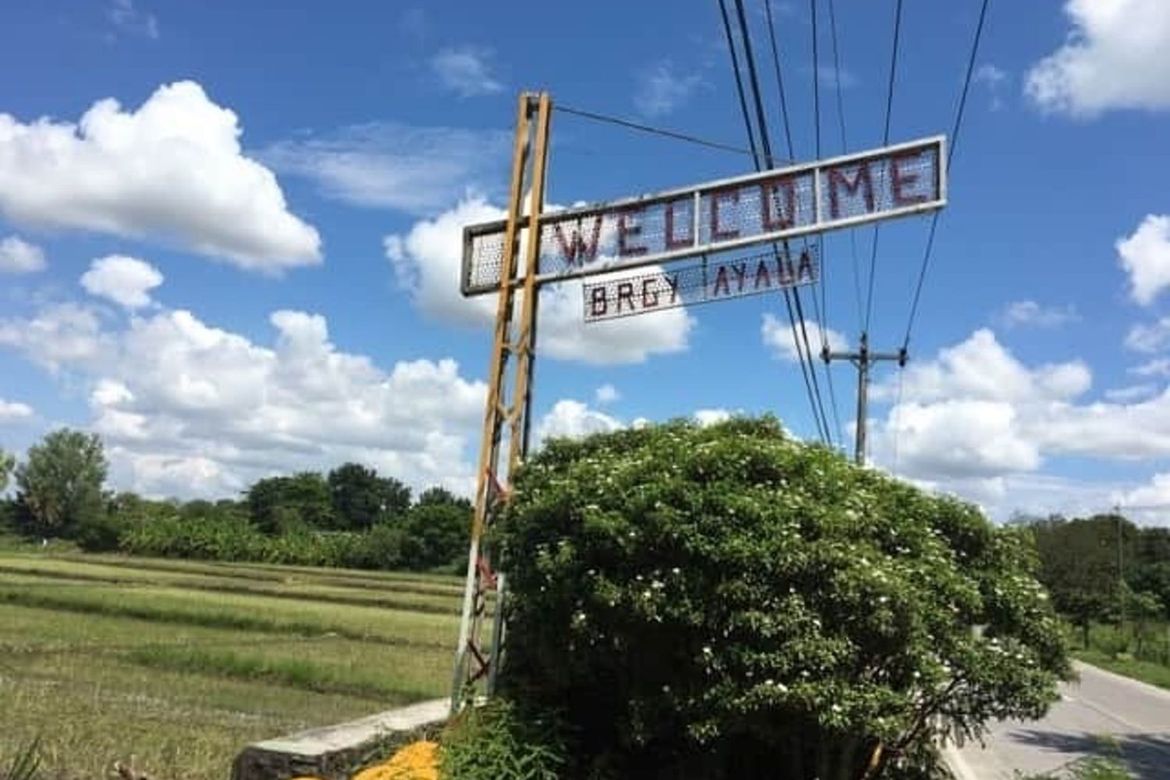 Land for Sale in San Agustin, Magalang, Pampanga – photo 6