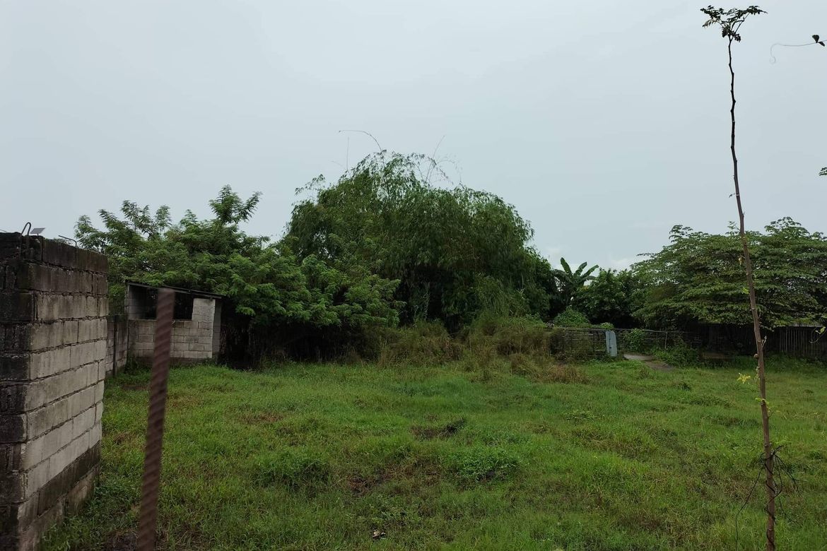 Land for Sale in San Agustin, Magalang, Pampanga – photo 3
