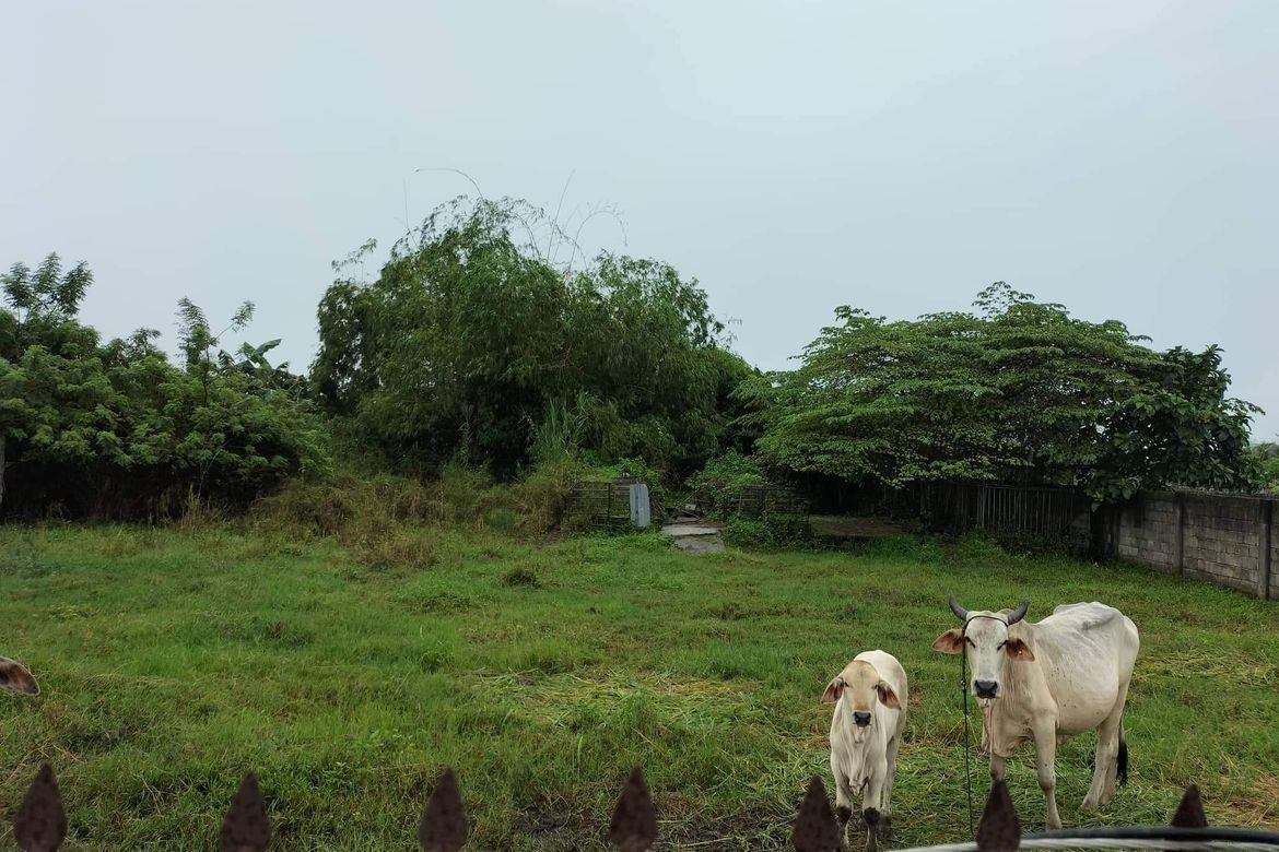 Land for Sale in San Agustin, Magalang, Pampanga – photo 4