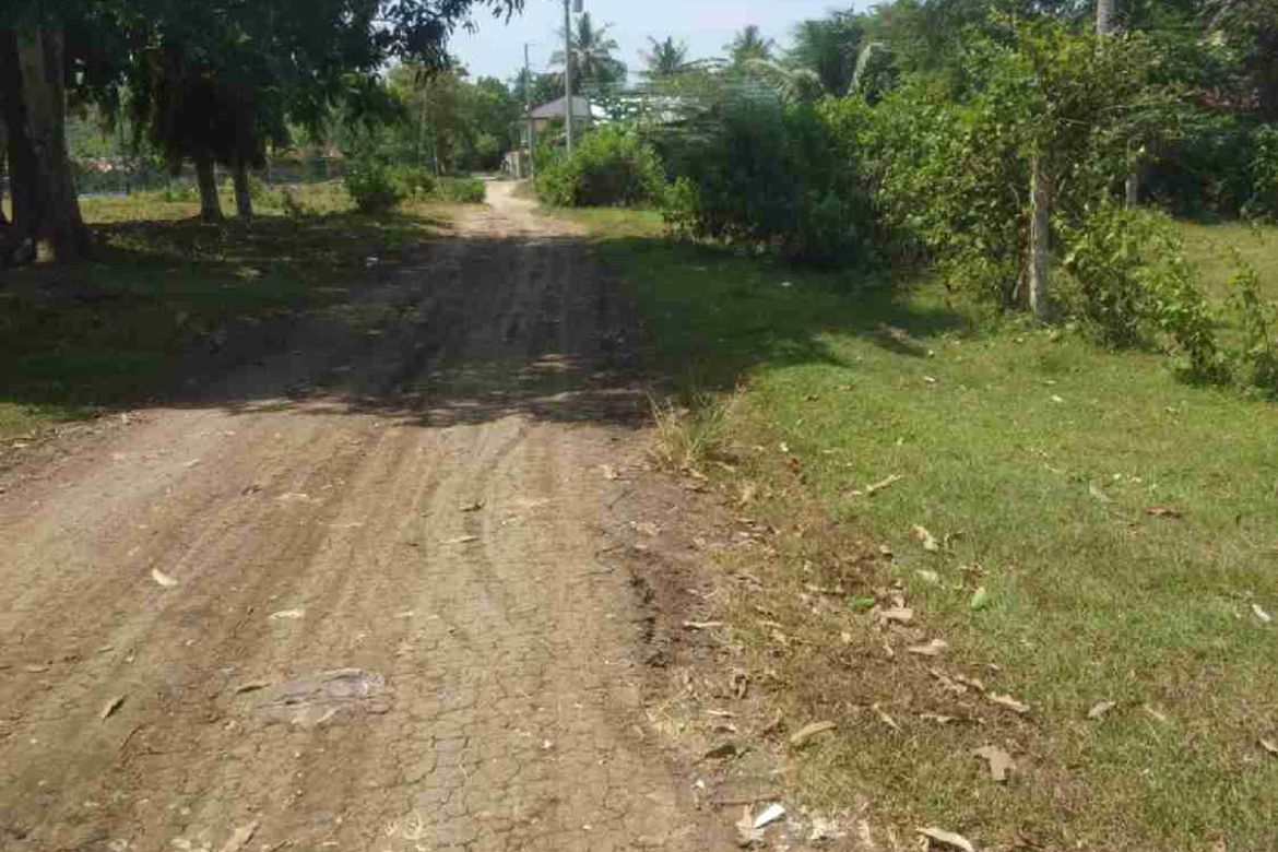 Land for Sale in San Agustin, Samal, Davao del Norte – photo 2