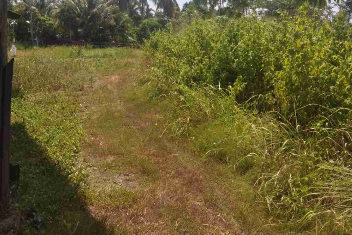 Land for Sale in San Agustin, Samal, Davao del Norte – photo 4