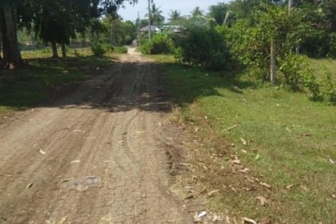 Land for Sale in San Agustin, Samal, Davao del Norte – photo 3