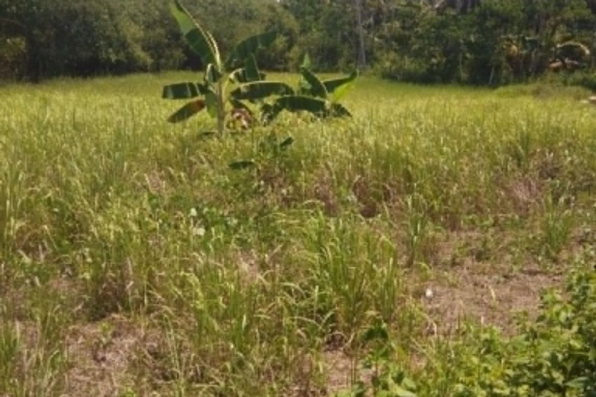 Land for Sale in San Agustin, Samal, Davao del Norte – photo 6