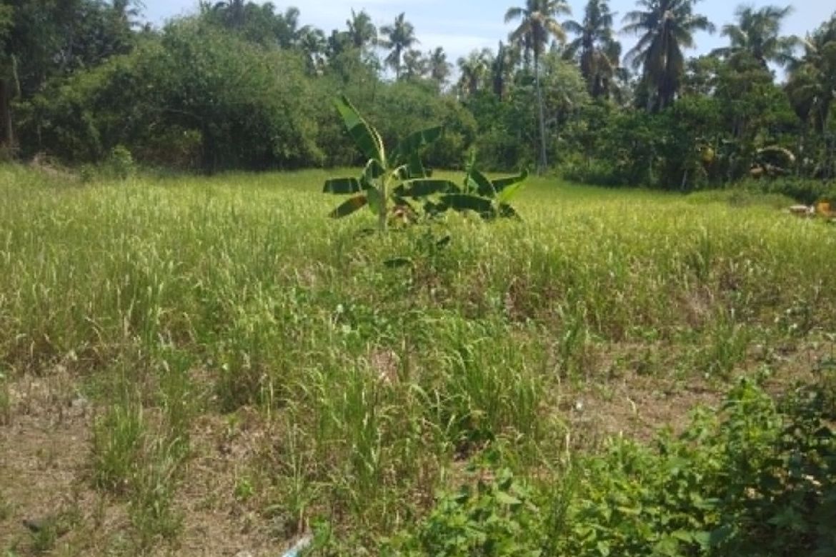Land for Sale in San Agustin, Samal, Davao del Norte – photo 7
