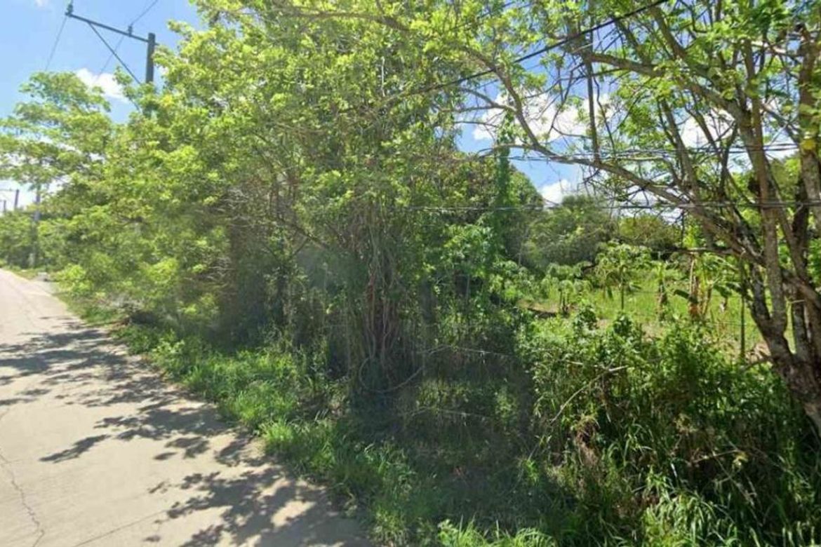 Land for Sale in San Agustin, Trece Martires, Cavite – photo 2