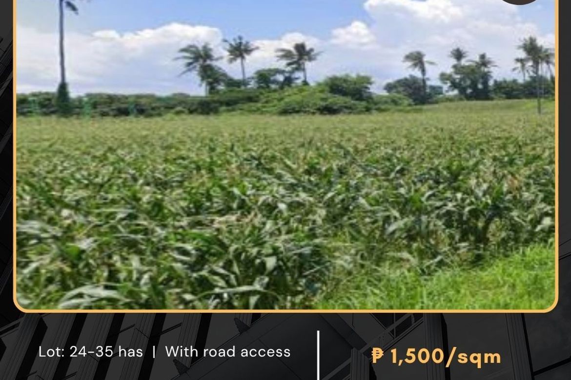 Land for Sale in San Andres, Malvar, Batangas