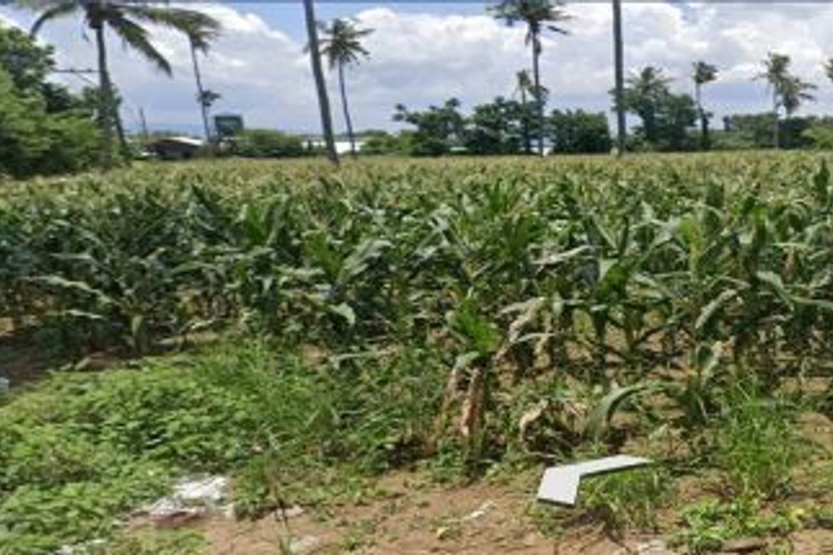 Land for Sale in San Andres, Malvar, Batangas – photo 2