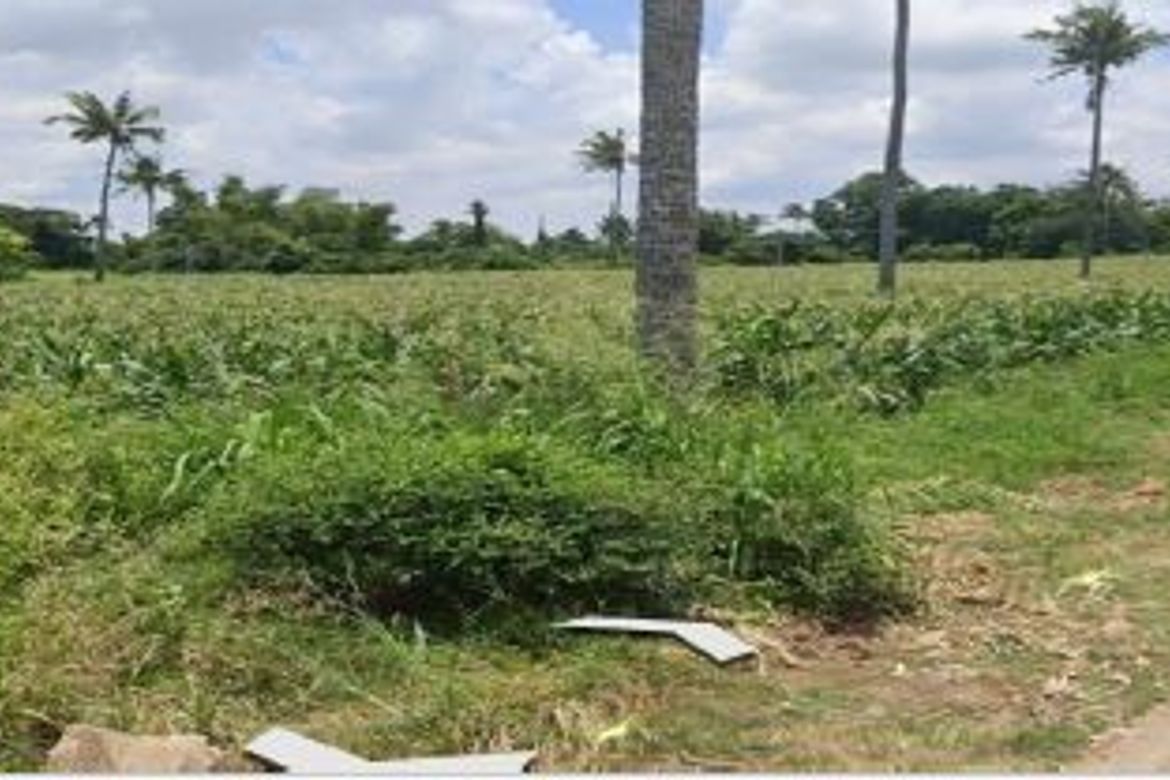 Land for Sale in San Andres, Malvar, Batangas – photo 3