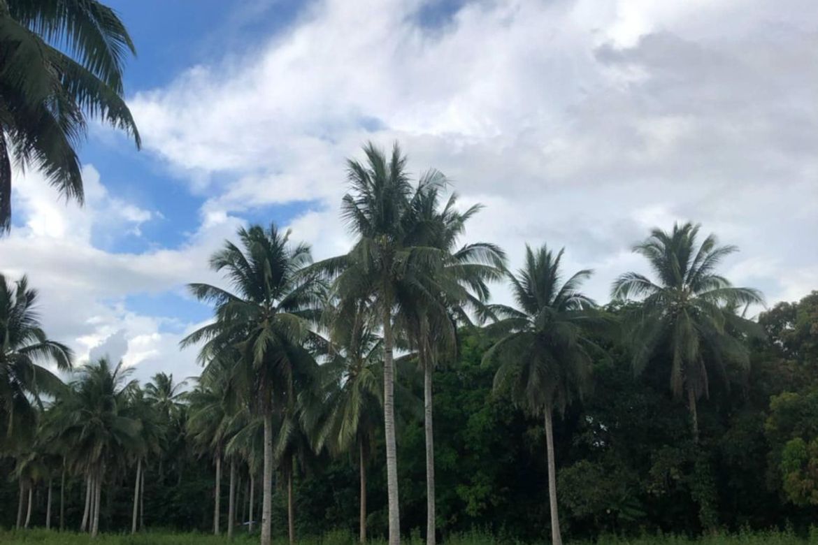 Land for Sale in San Andres, Malvar, Batangas – photo 2