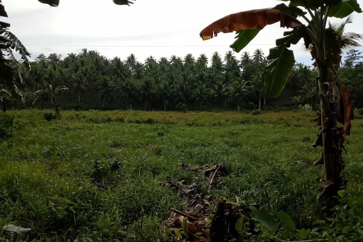 Land for Sale in San Andres, Malvar, Batangas – photo 3