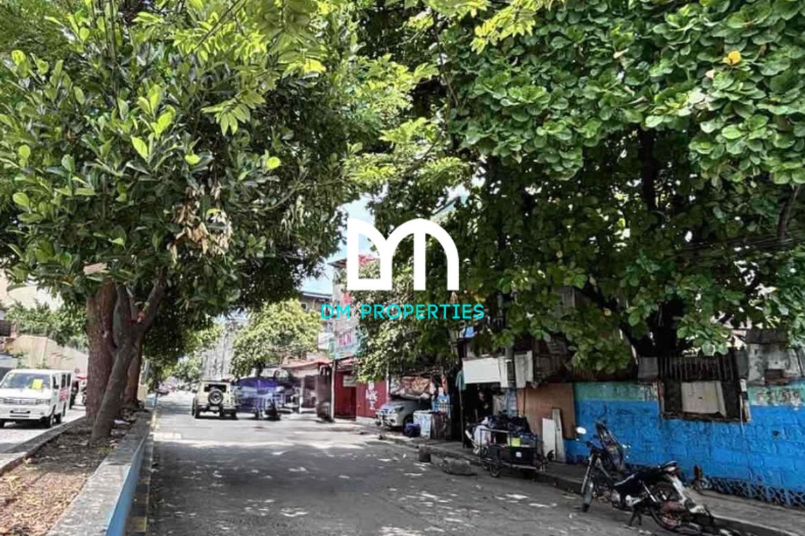 Land for Sale in San Andres, Manila, Metro Manila – photo 3