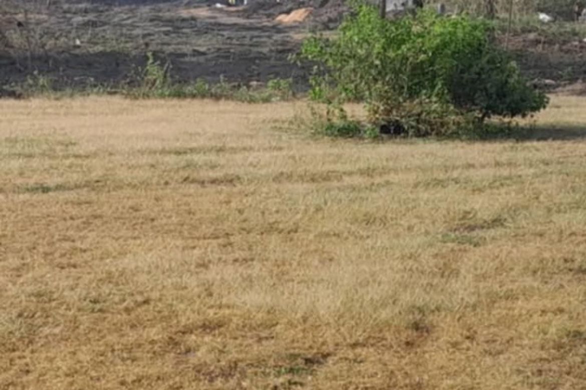 Land for Sale in San Angel, San Jose, Antique