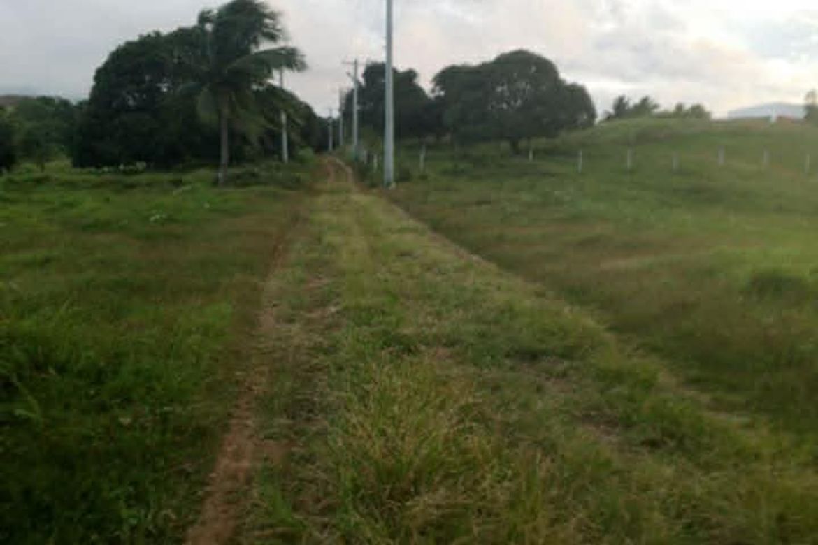 Land for Sale in San Antonio, Bagac, Bataan – photo 4