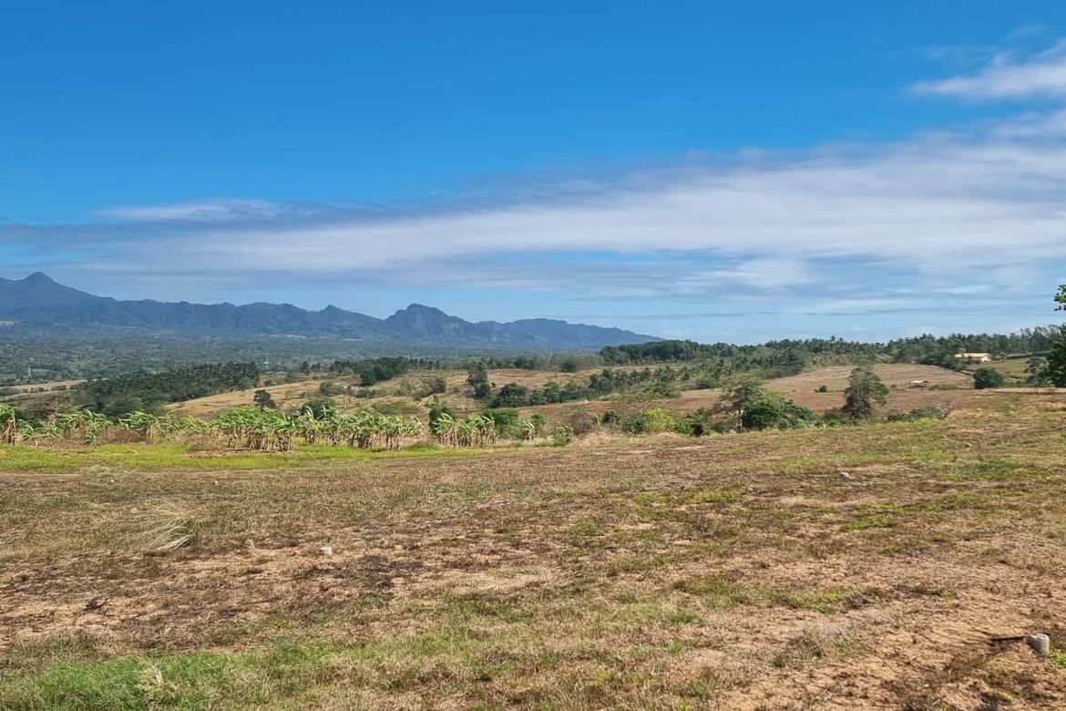 Land for Sale in San Antonio, Bagac, Bataan – photo 2