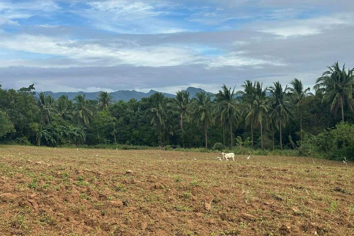 Land for Sale in San Antonio, Bagac, Bataan