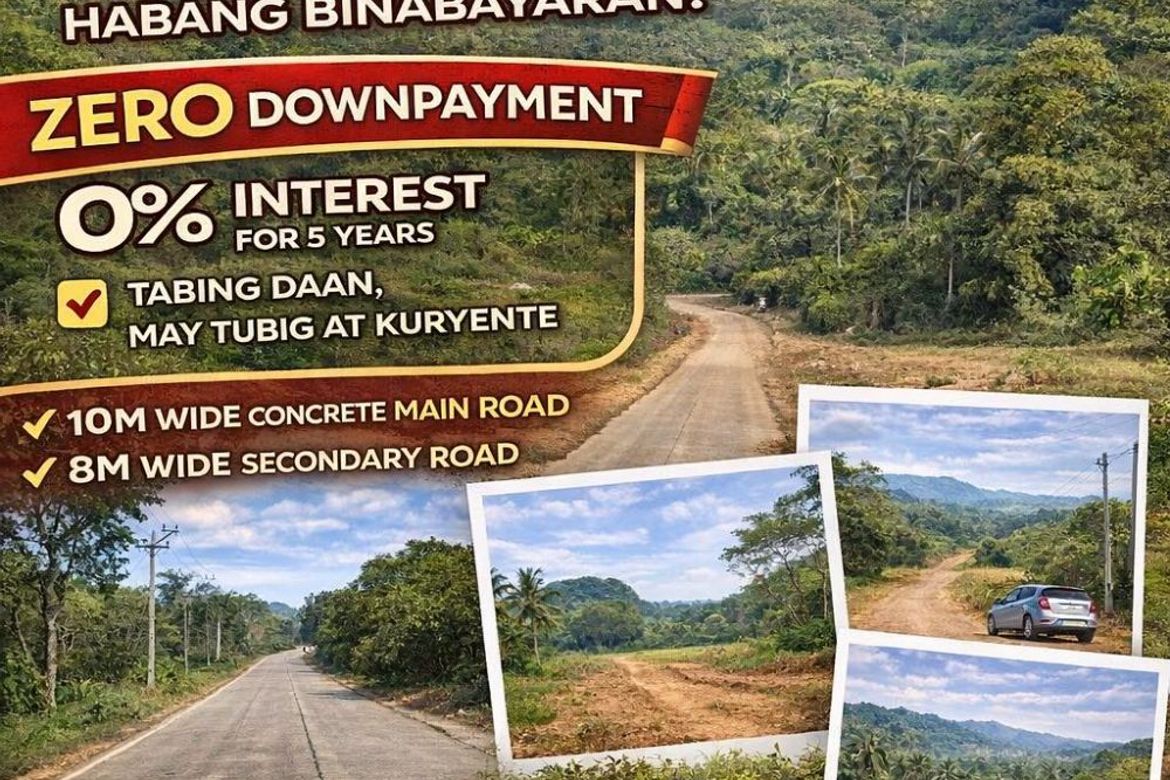 Land for Sale in San Antonio, Bagac, Bataan – photo 2