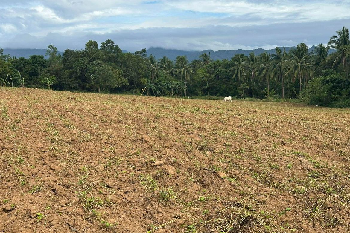 Land for Sale in San Antonio, Bagac, Bataan – photo 4
