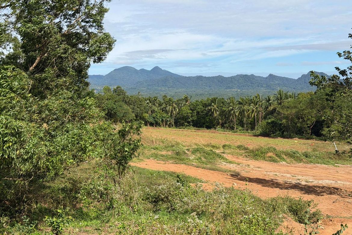 Land for Sale in San Antonio, Bagac, Bataan – photo 8