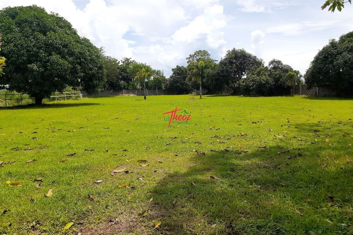 Land for Sale in San Antonio, Biñan, Laguna – photo 7