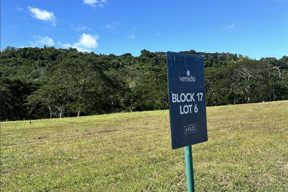 Land for Sale in San Antonio, Biñan, Laguna – photo 2