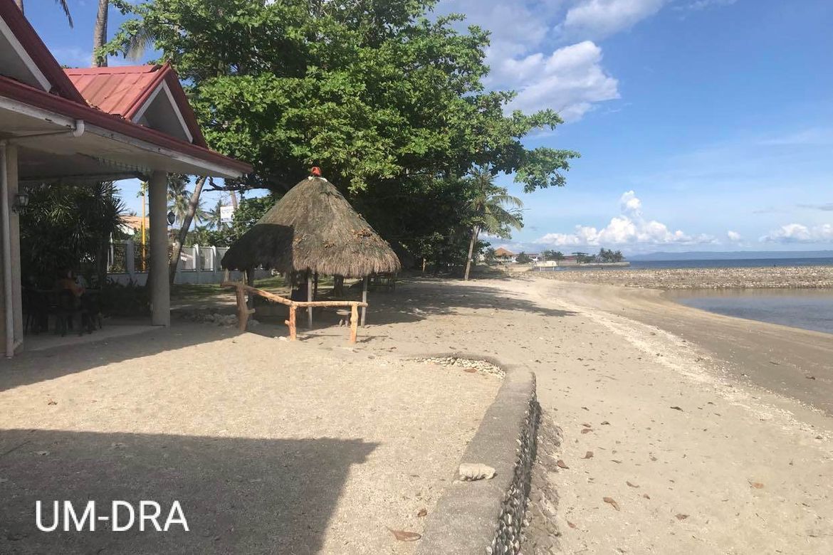 Land for Sale in San Antonio, Boljoon, Cebu