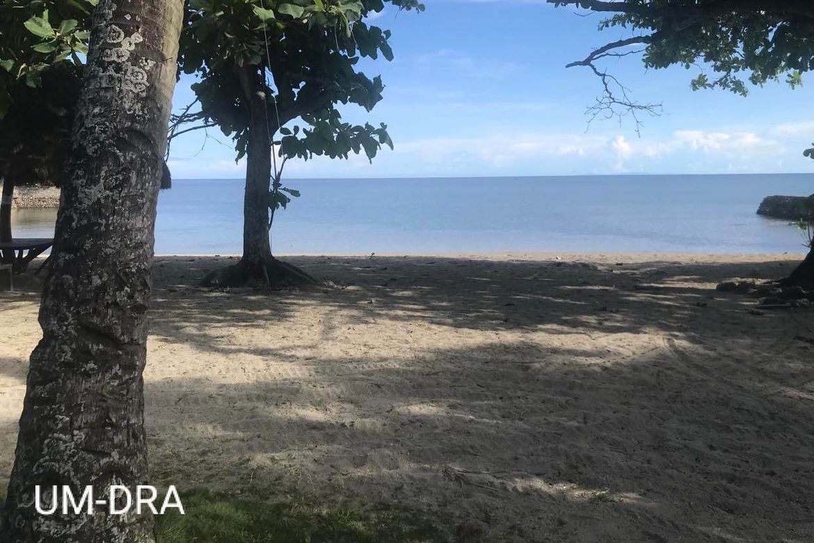 Land for Sale in San Antonio, Boljoon, Cebu – photo 2