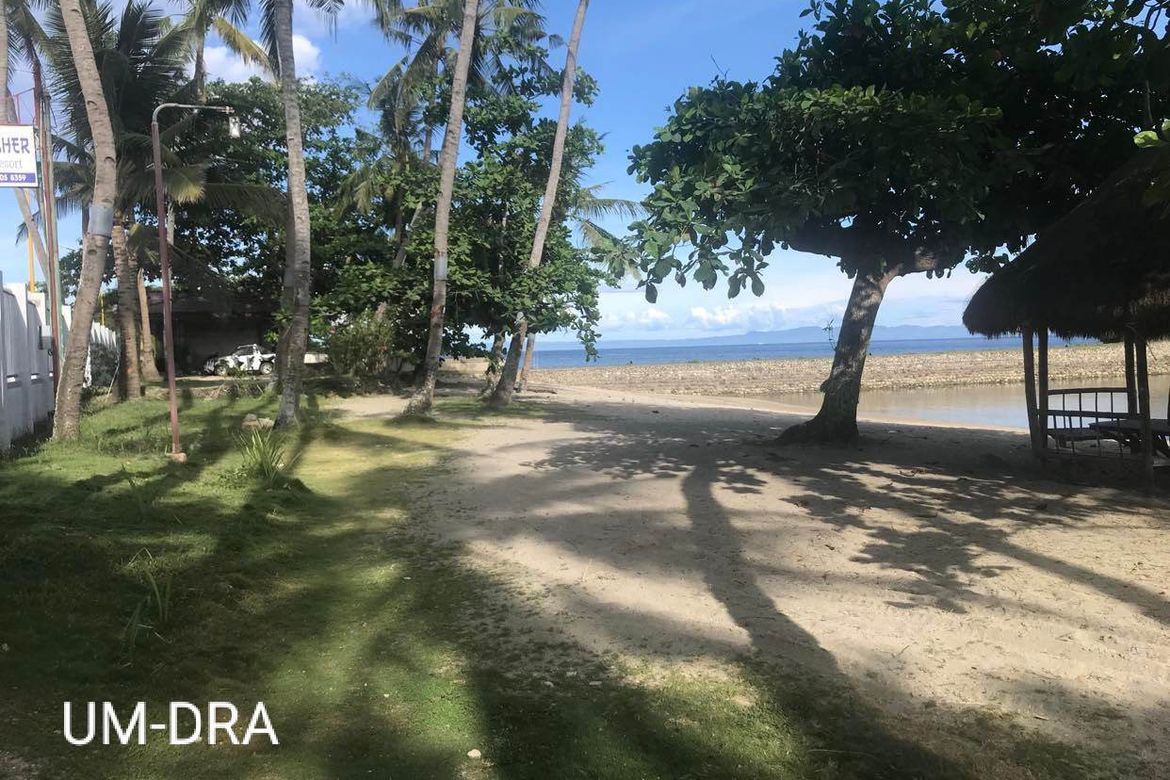 Land for Sale in San Antonio, Boljoon, Cebu – photo 3