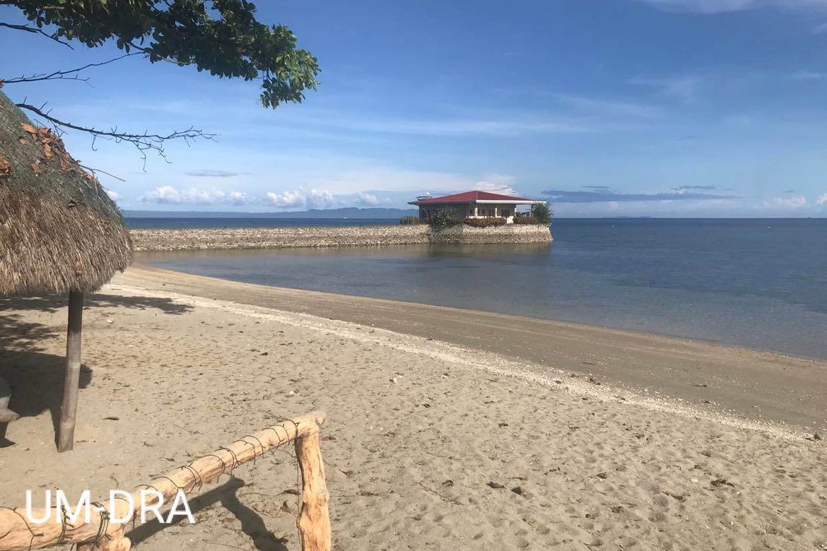 Land for Sale in San Antonio, Boljoon, Cebu – photo 4