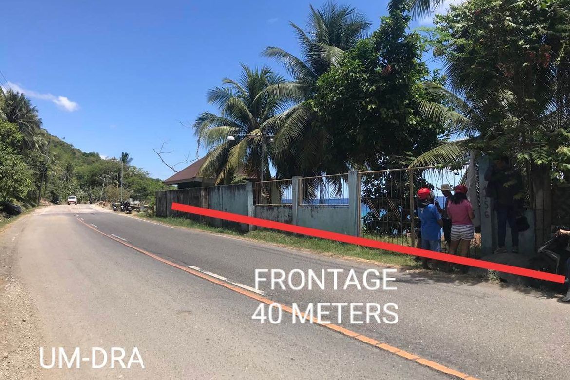 Land for Sale in San Antonio, Boljoon, Cebu – photo 6