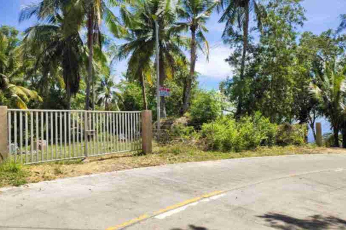 Land for Sale in San Antonio, Boljoon, Cebu