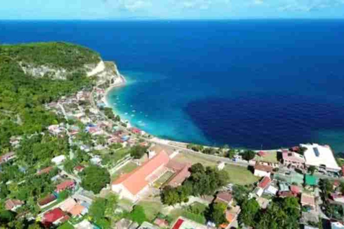 Land for Sale in San Antonio, Boljoon, Cebu – photo 3