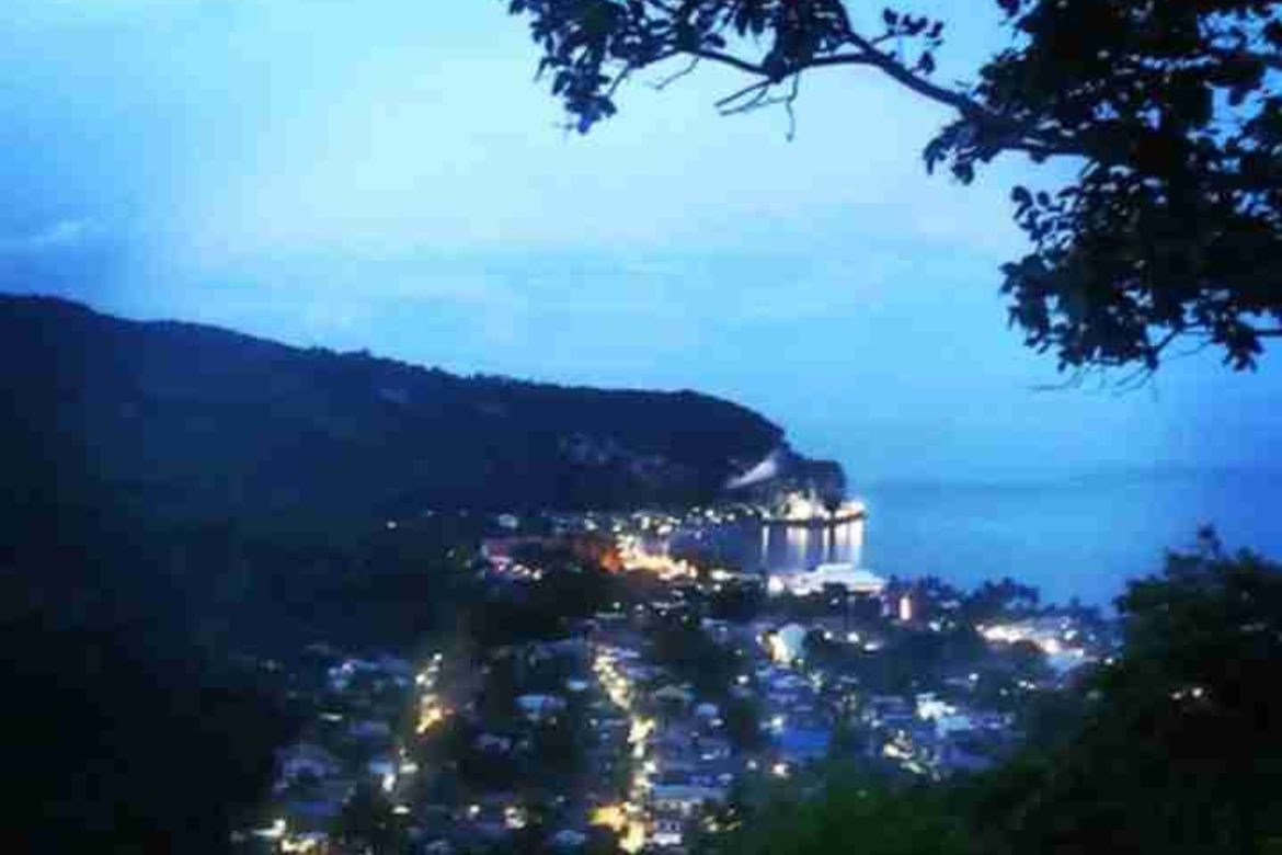 Land for Sale in San Antonio, Boljoon, Cebu – photo 4