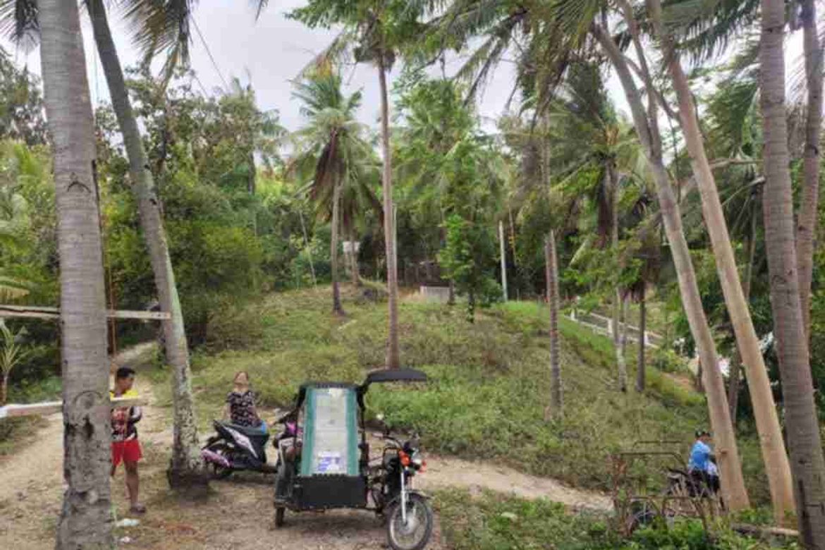 Land for Sale in San Antonio, Boljoon, Cebu – photo 7