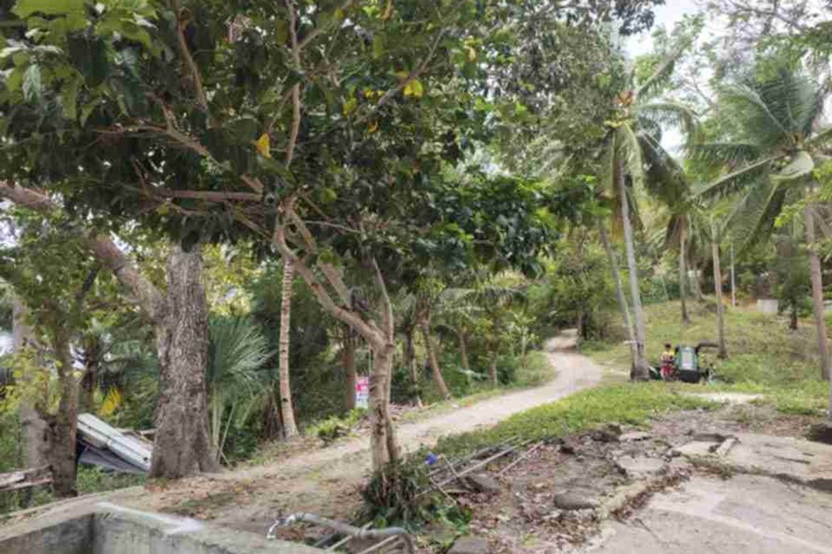 Land for Sale in San Antonio, Boljoon, Cebu – photo 8