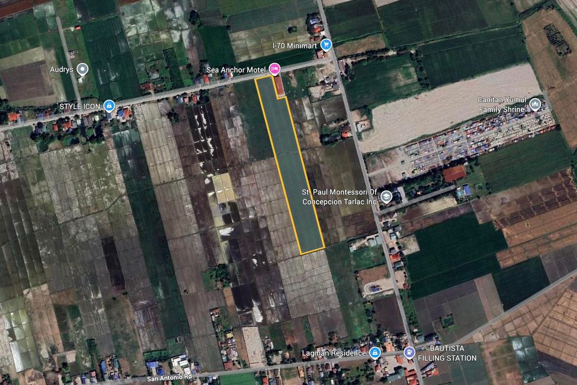 Land for Sale in San Antonio, Concepcion, Tarlac