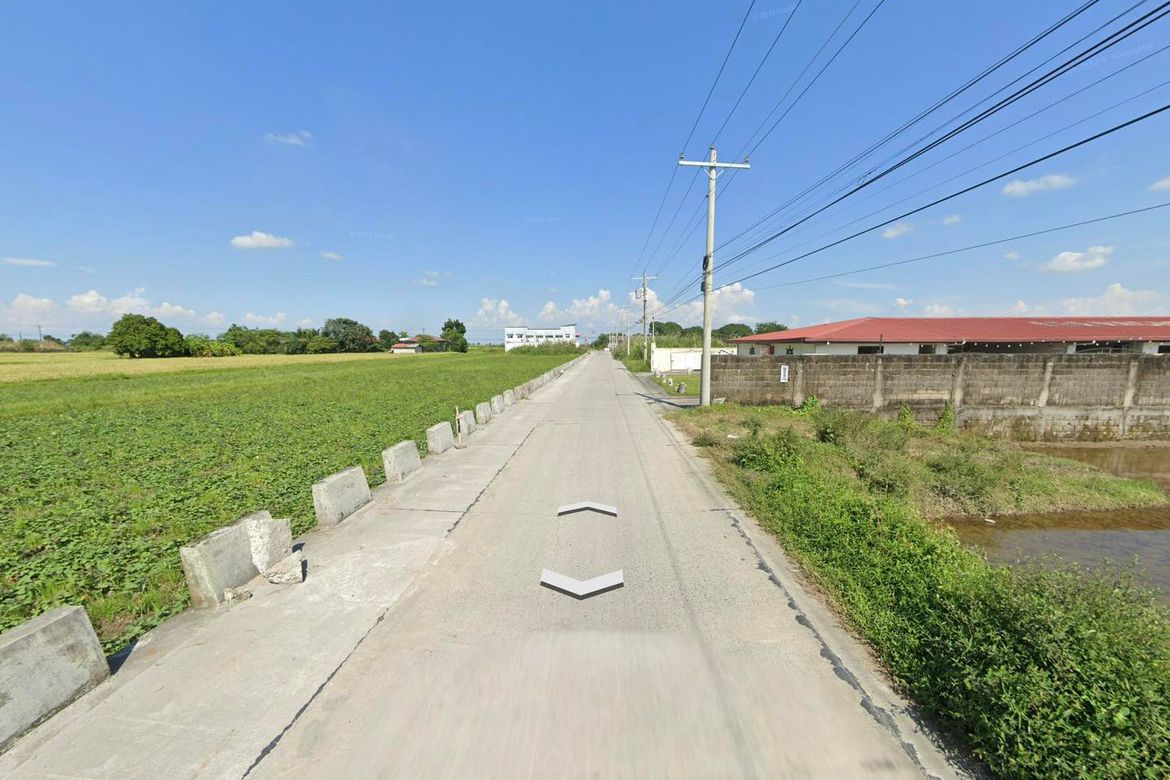 Land for Sale in San Antonio, Concepcion, Tarlac – photo 4