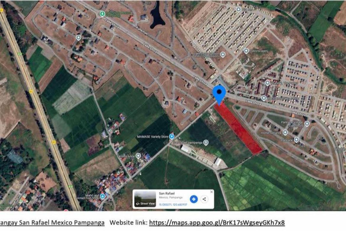 Land for Sale in San Antonio, Cuyapo, Nueva Ecija