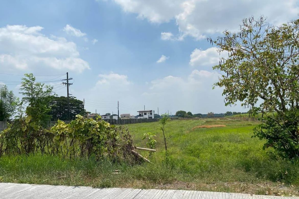 Land for Sale in San Antonio, Cuyapo, Nueva Ecija – photo 2