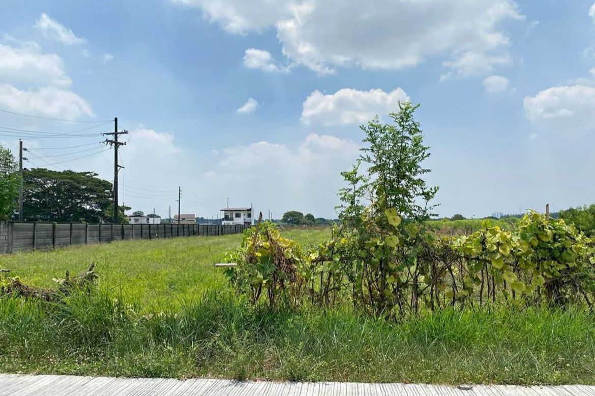 Land for Sale in San Antonio, Cuyapo, Nueva Ecija – photo 3