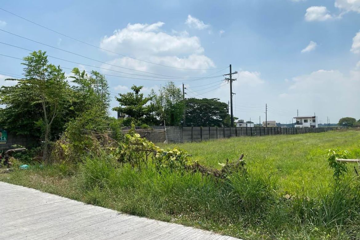 Land for Sale in San Antonio, Cuyapo, Nueva Ecija – photo 4